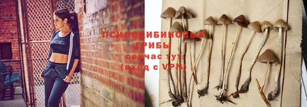 ПСИЛОЦИБИНОВЫЕ ГРИБЫ Алексин