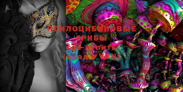 ПСИЛОЦИБИНОВЫЕ ГРИБЫ Алексин