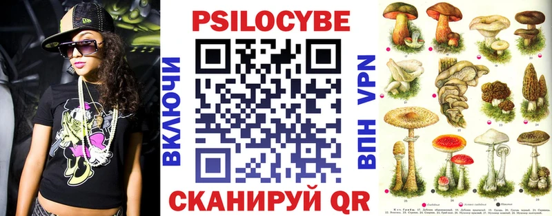 наркошоп  Сосновый Бор  Псилоцибиновые грибы Cubensis 