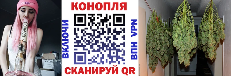 цены наркотик  Сосновый Бор  Бошки Шишки гибрид 
