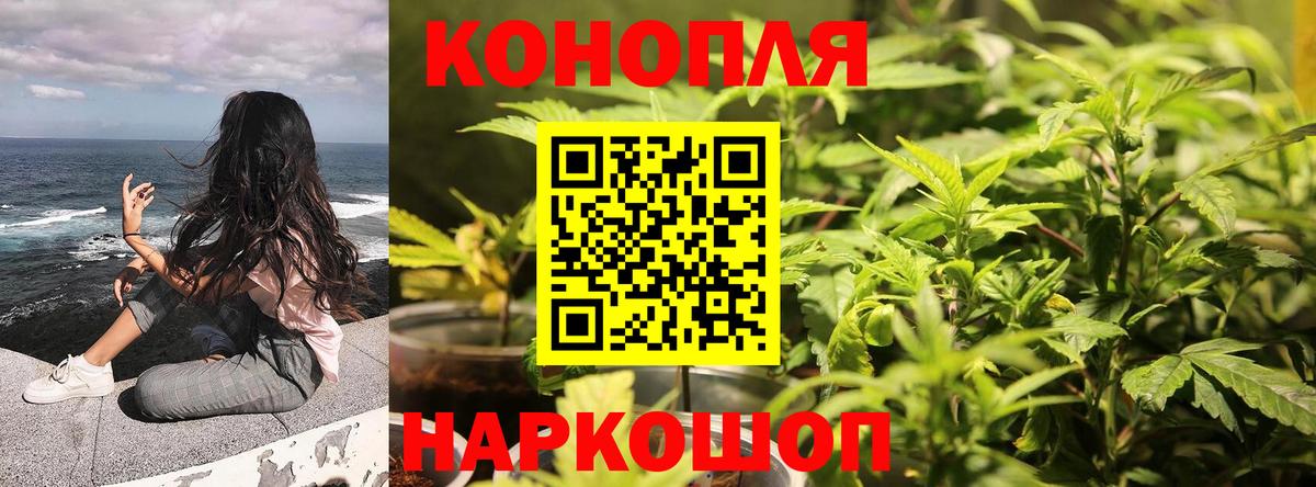 Марихуана план  Вход с VPN  Сосновый Бор  Бошки Шишки марихуана 