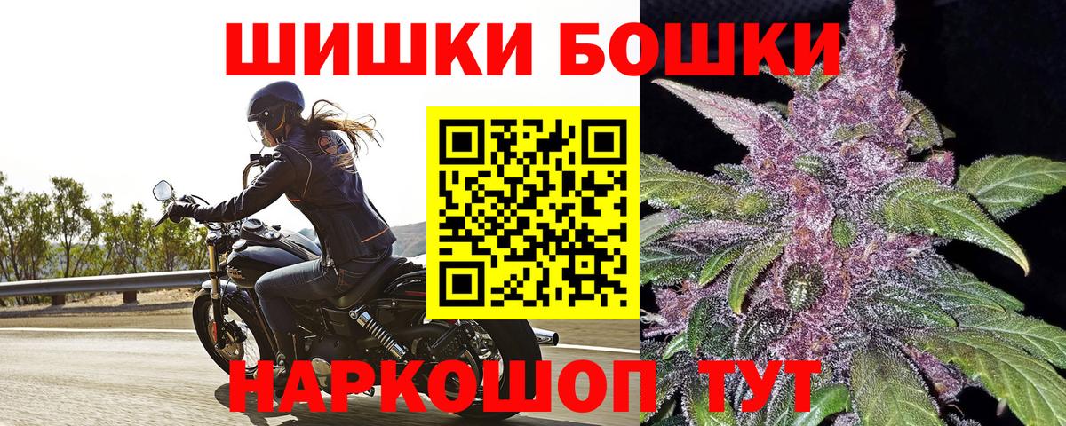 Каннабис SATIVA & INDICA Сосновый Бор